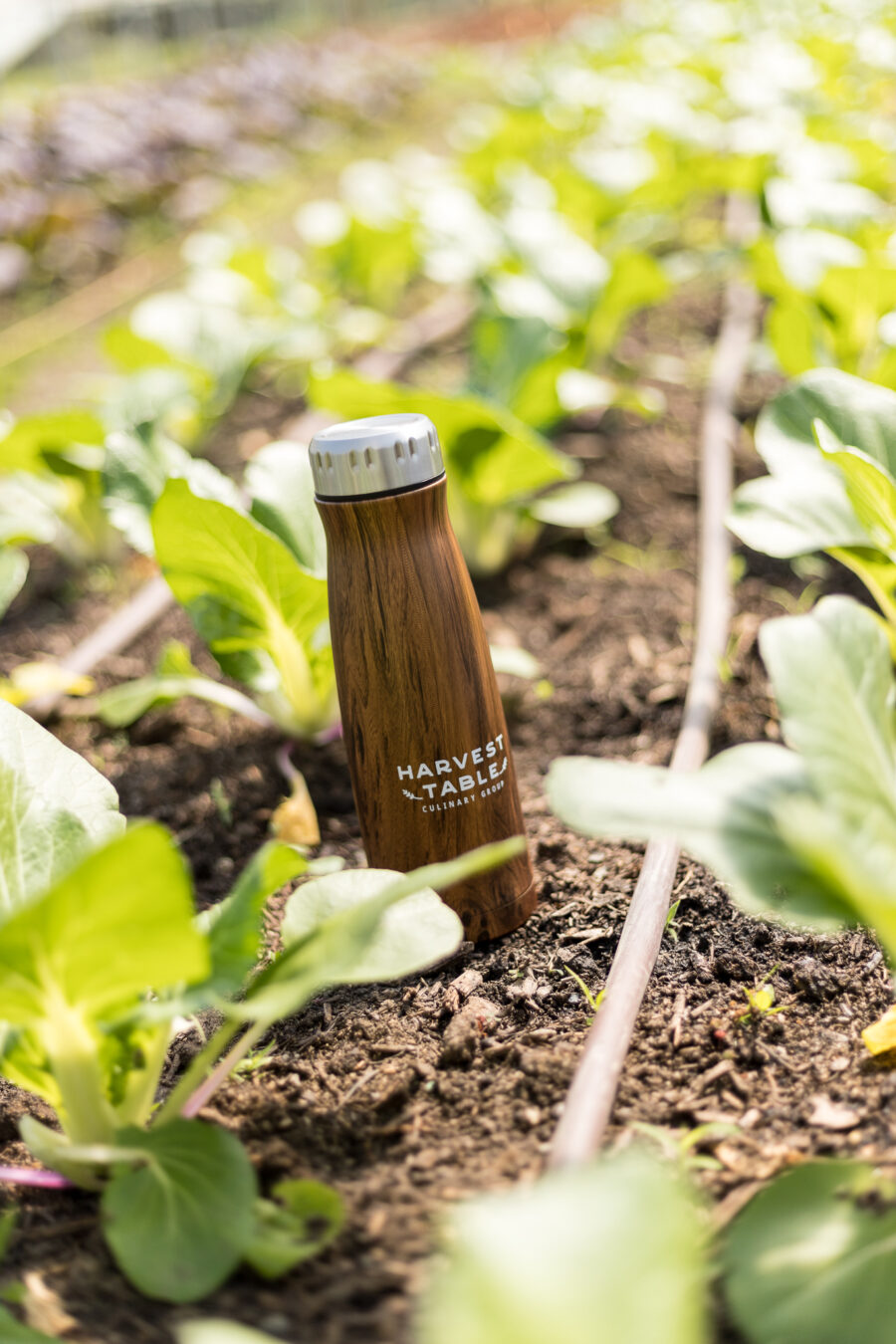 Harvest Table - Water Bottle - Garden